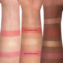 Load image into Gallery viewer, Radiance Chic Cheek and Highlighter Duo - Coral Manta Ray