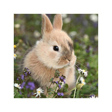 Load image into Gallery viewer, Bébé Camellia and Lavender Balm