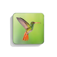 Load image into Gallery viewer, Hummingbird Eye Quartet
